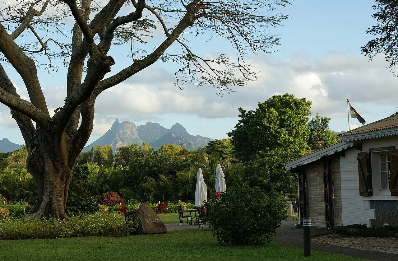 ogród z wielkim drzewem i góry w tle na Mauritiusie