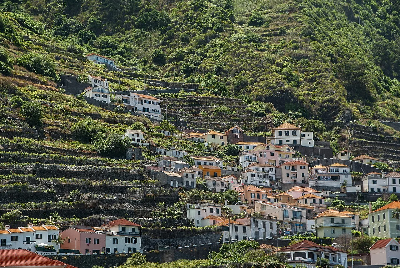 domy na wzgórzu porośniętym roślinnością na Maderze