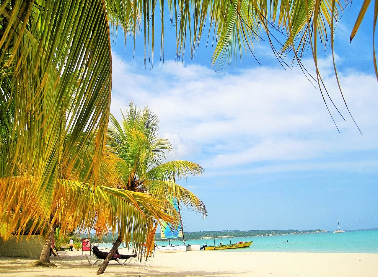 piaszczysta plaża z żółtawymi palmami i łódkami