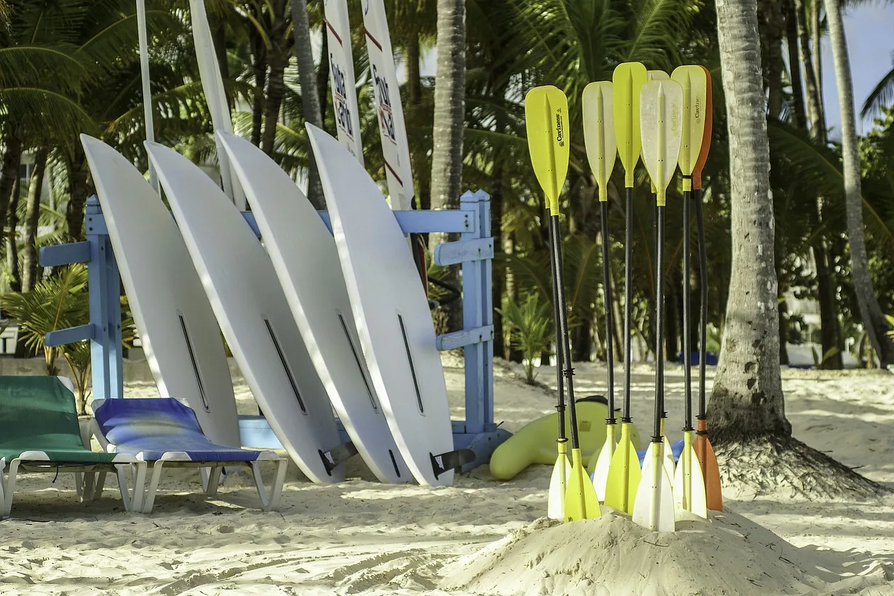 wiosła i deski surfingowe na piaszczystej plaży, leżaki i palmy