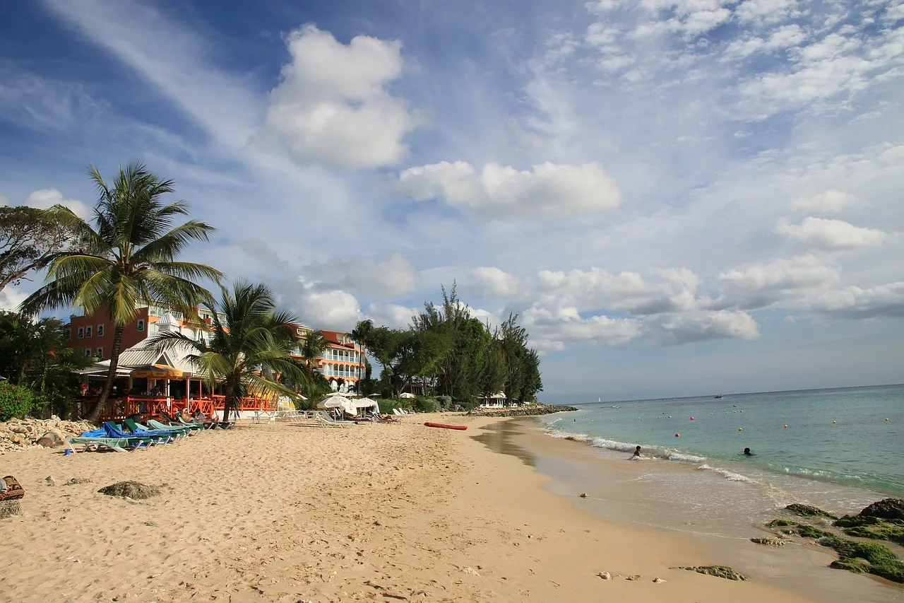 plaża oraz obiekt przeznaczony dla turystów otoczony palmami, barbados