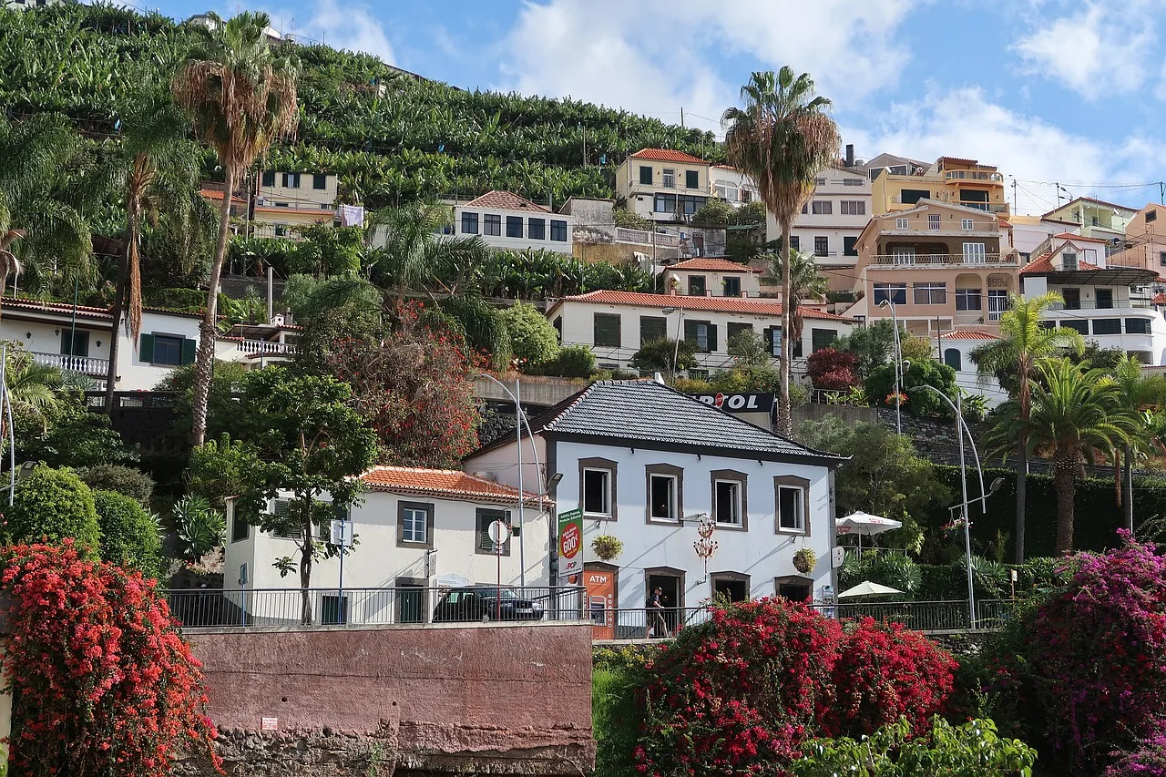Widok na domy położone na wzgórzu na wyspie Madeira, z malowniczym krajobrazem w tle.