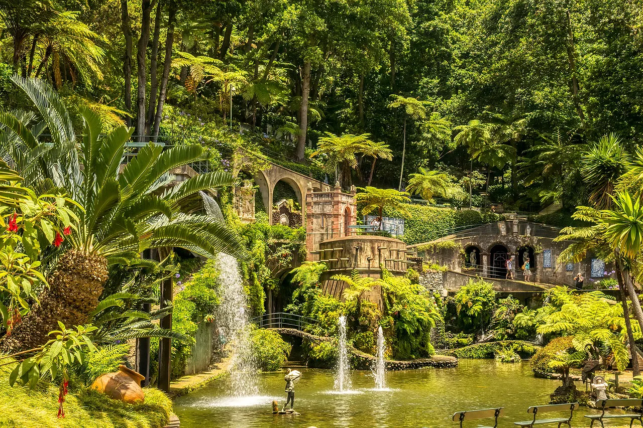 Widok na tropikalne ogrody w Funchal na wyspie Madera, pełne bujnej roślinności i naturalnego piękna.