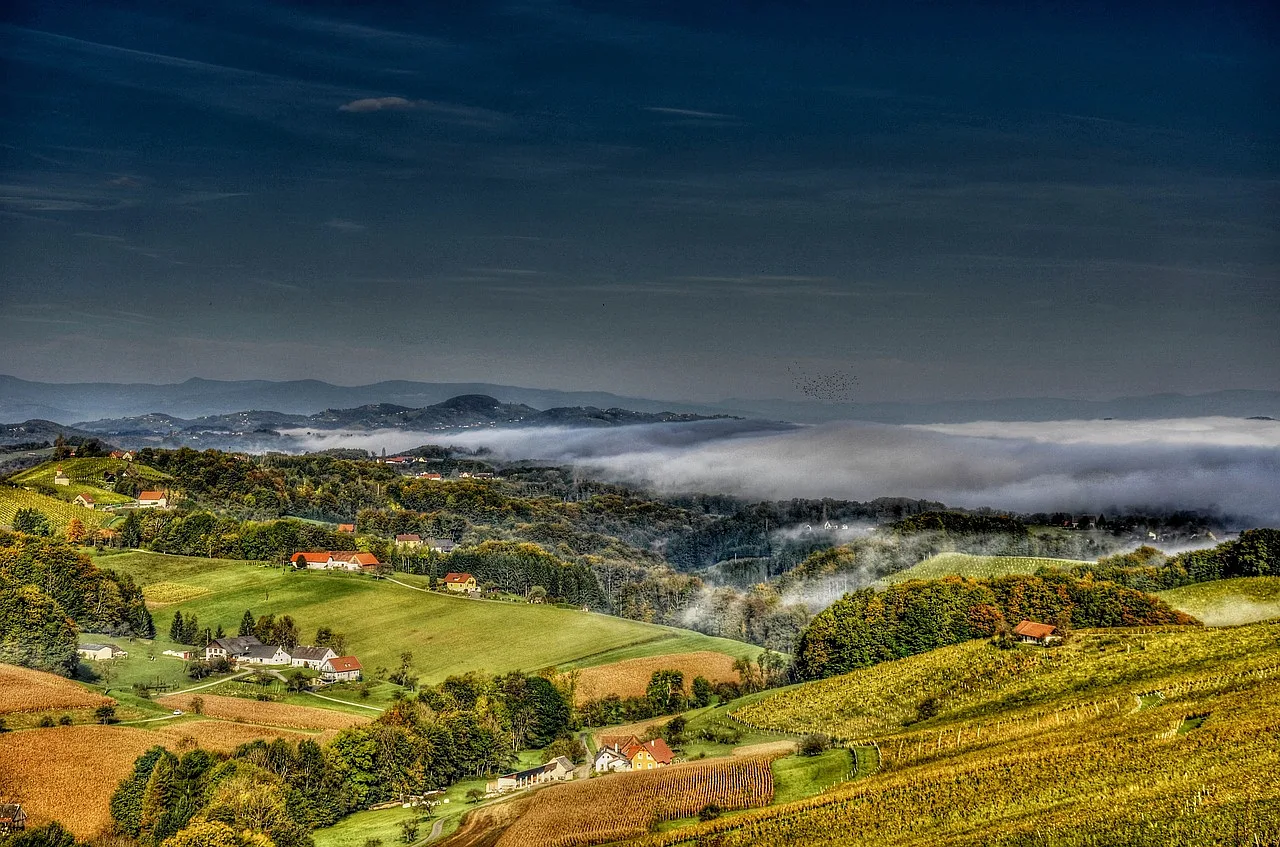 Winnice w Południowej Styrii, Austria - malowniczy krajobraz z winnicami.