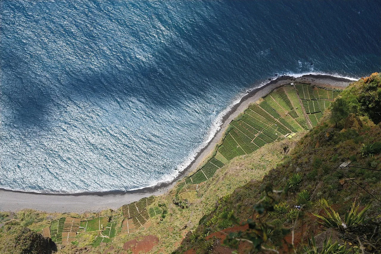 Widok na skaliste wybrzeże Cabo Girão na wyspie Madeira, z wspaniałą panoramą Atlantyku, oceanicznymi falami i winnicami na tle klifów.