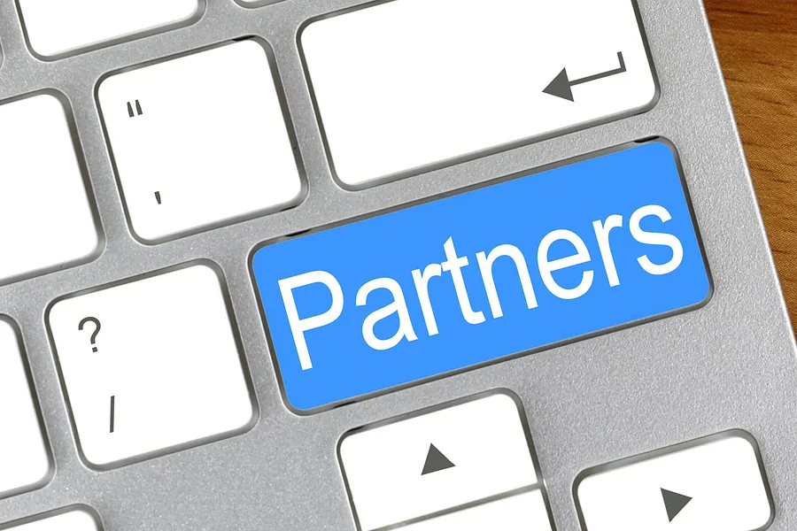Partnerzy