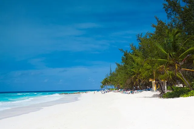 Najlepszy czas na podróż na Barbados