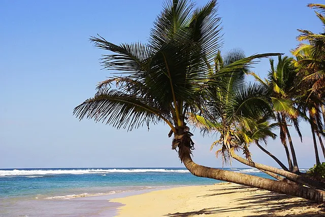 TOP 10 hoteli rodzinnych – Dominikana, Punta Cana